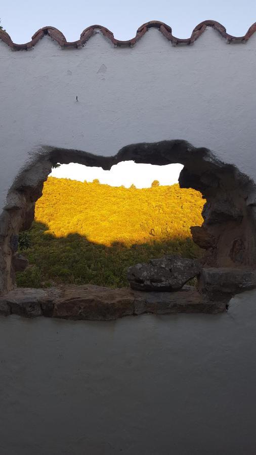Gite Dans Ancienne Bergerie En Pleine Garrigue Fraisse-des-Corbieres Ngoại thất bức ảnh