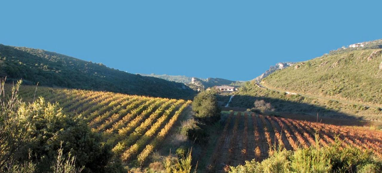 Gite Dans Ancienne Bergerie En Pleine Garrigue Fraisse-des-Corbieres Ngoại thất bức ảnh