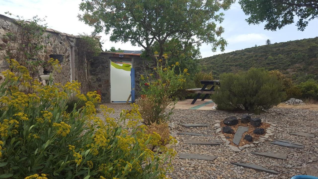 Gite Dans Ancienne Bergerie En Pleine Garrigue Fraisse-des-Corbieres Ngoại thất bức ảnh
