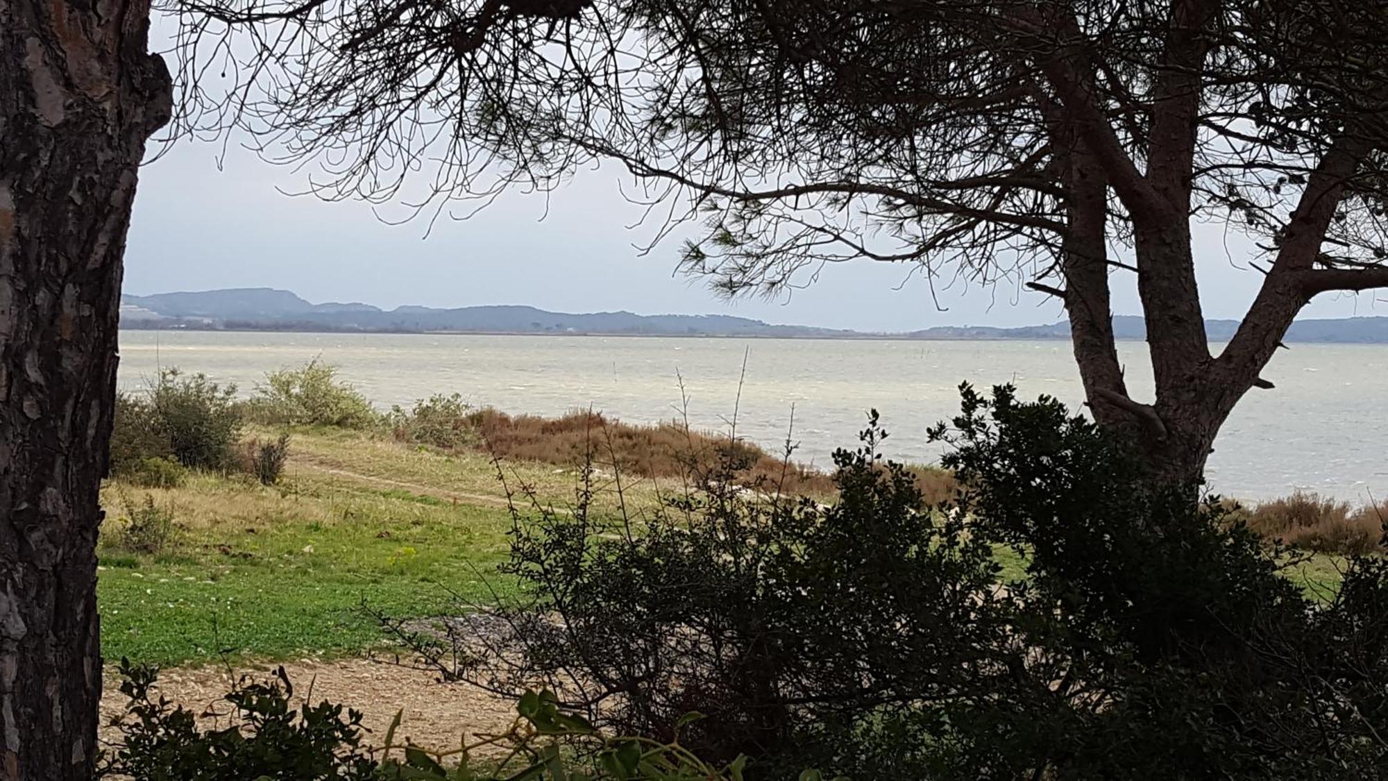 Gite Dans Ancienne Bergerie En Pleine Garrigue Fraisse-des-Corbieres Ngoại thất bức ảnh
