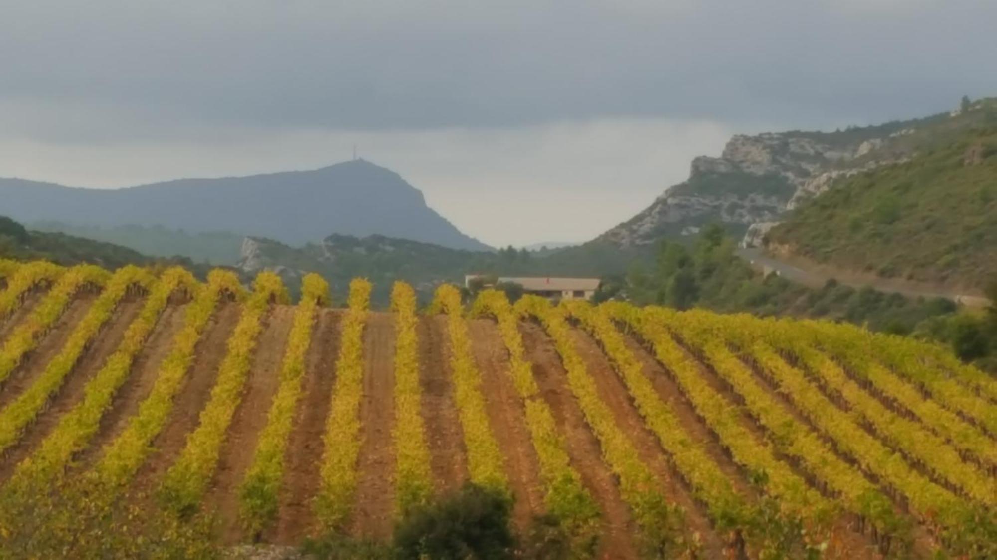 Gite Dans Ancienne Bergerie En Pleine Garrigue Fraisse-des-Corbieres Ngoại thất bức ảnh